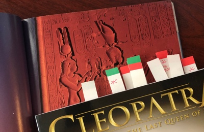 Project preview image