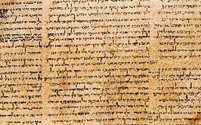 Project preview image