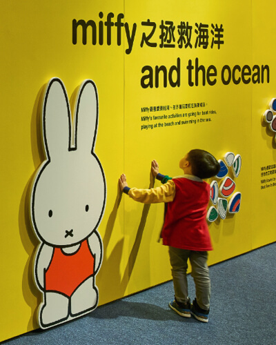 Project preview image