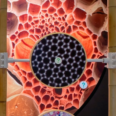 Project preview image